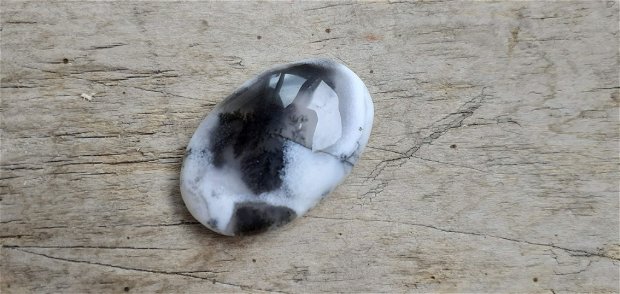 Cabochon opal dendritic, 32x21 mm