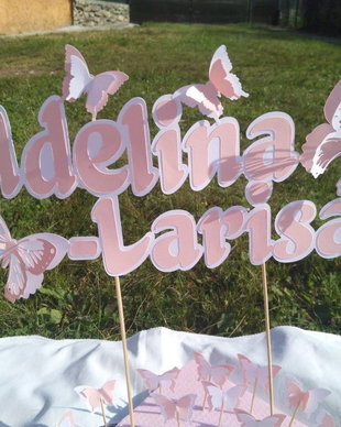 Cake toppers / decoratiuni personalizate