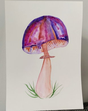 Ilustratie mushroom