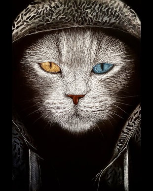 Tablou "Cool Cat"