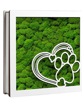 Caseta decorativa cu licheni, DekoLaser, CDL1072L