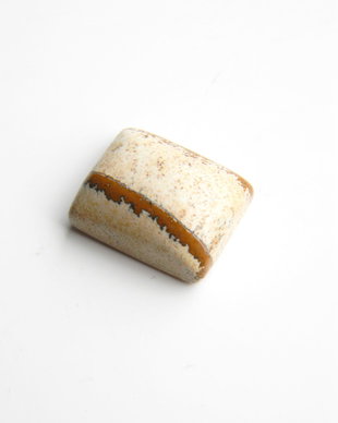 Caboson picture jasper (C15)