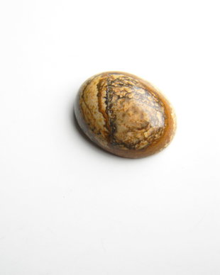 Caboson picture jasper (C83)