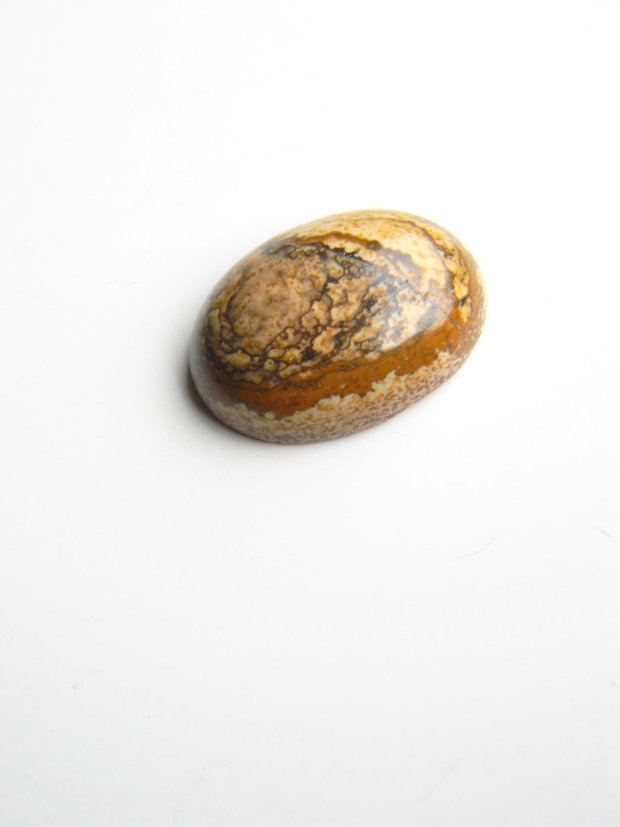 Caboson picture jasper (C83)