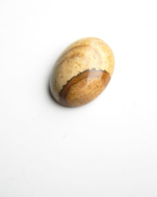 Caboson picture jasper (C83)