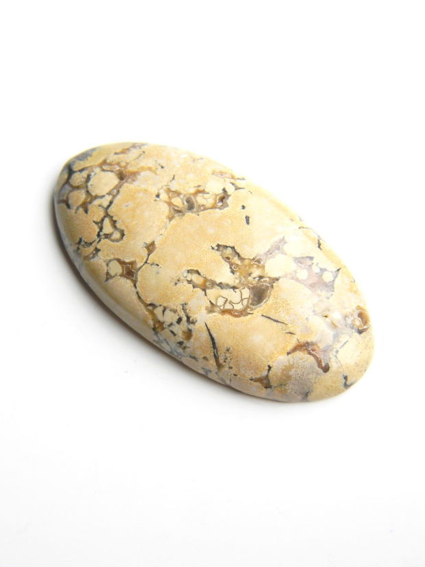 Caboson Polka Dot Jasper (C92)