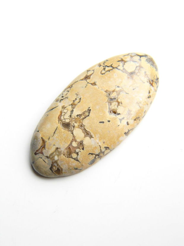 Caboson Polka Dot Jasper (C92)