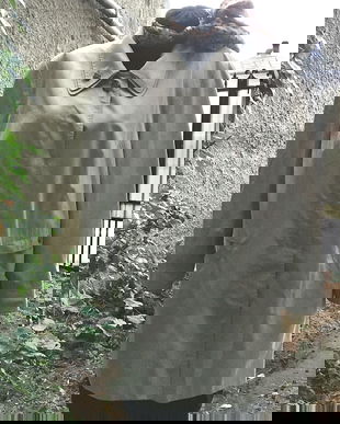 Trench scurt, calitategermana