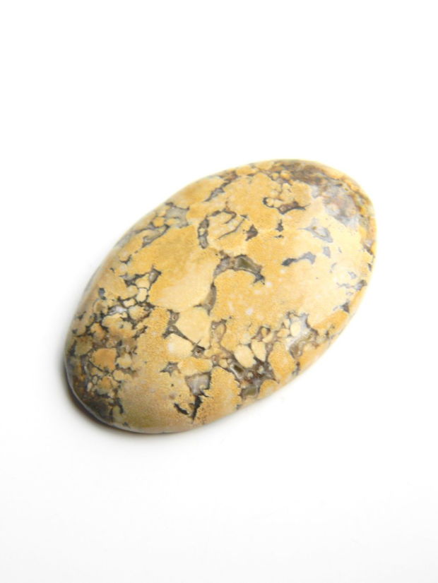 Caboson Polka Dot Jasper (C5)