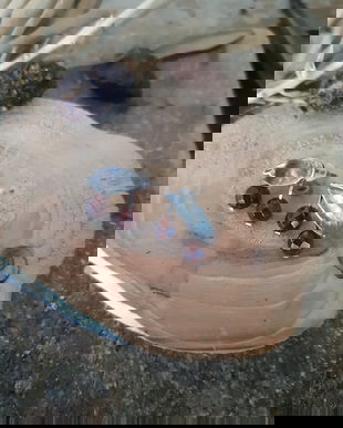 Cercei cu tija din argint 925, reticulat si partial oxidat cu granat, visine