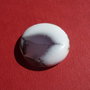 Cabochon opal dendritic aprox 29.4x7.4 mm