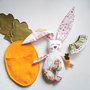 Set Nice bunny