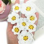 Floricele crosetate manual. Aplicatii crosetate