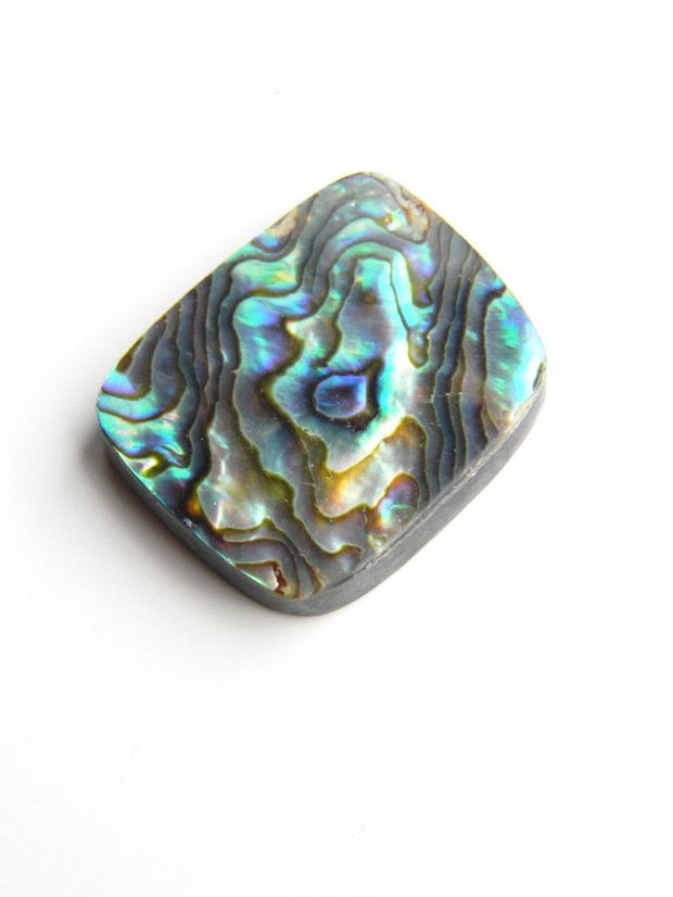 Caboson sidef Paua Shell (C23)