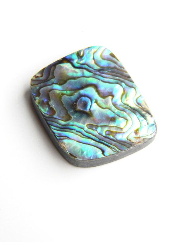 Caboson sidef Paua Shell (C23)