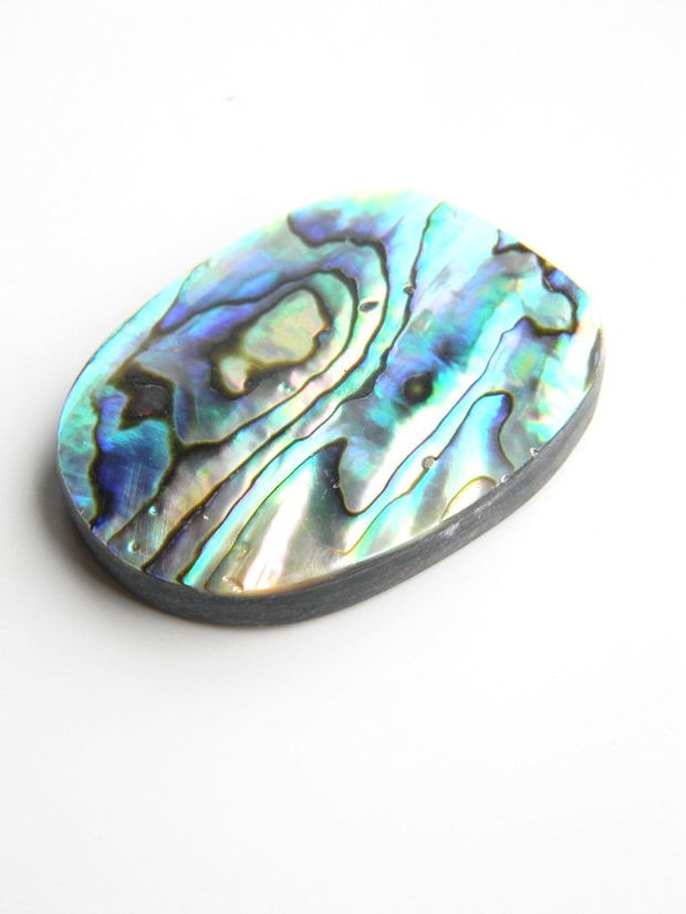 Caboson sidef Paua Shell (C23)