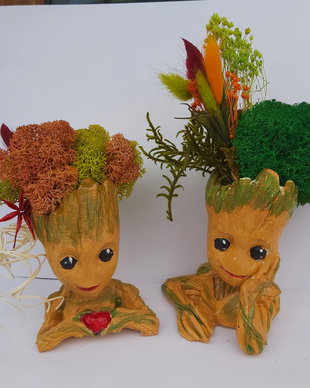 Pereche Groot' s