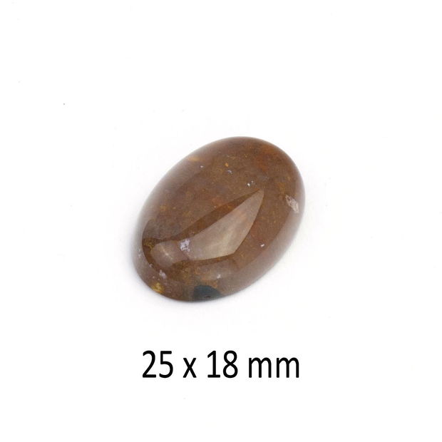 Cabochon Jasper agatizat, 25 x 18 mm, A328