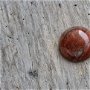 Cabochon jasp rosu, 16 mm (2 buc)