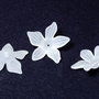Margele din acril, frosted, floare, 20x5 mm, albe