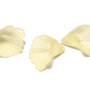 Margele din acril, frosted, floare, 20x20 mm, galbene