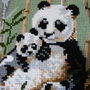 Nou-covoras perete Panda