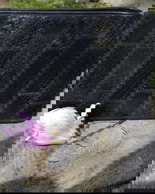 Geanta / Plic din piele de sarpe