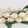 Perle cultura 9.5-11x8-9.5mm, cod P018 (1)
