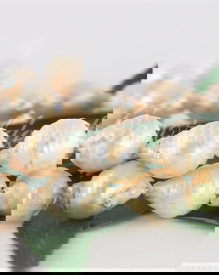 Perle cultura 9.5-11x8-9.5mm, cod P018 (1)