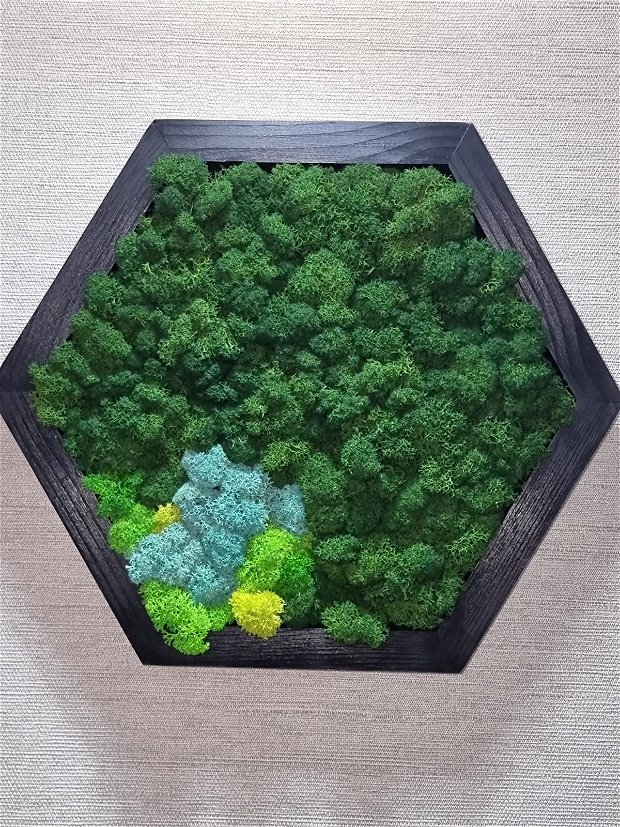 Hexagon din lemn cu licheni stabilizati