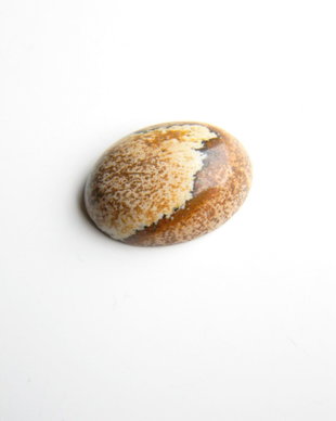Caboson picture jasper (C32B)