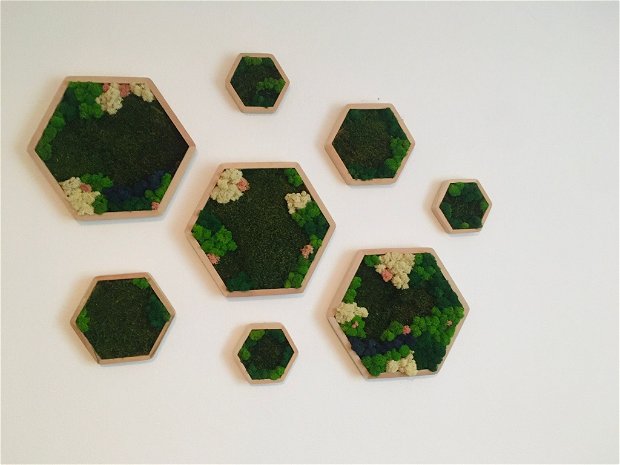 Panouri hexagonale cu licheni