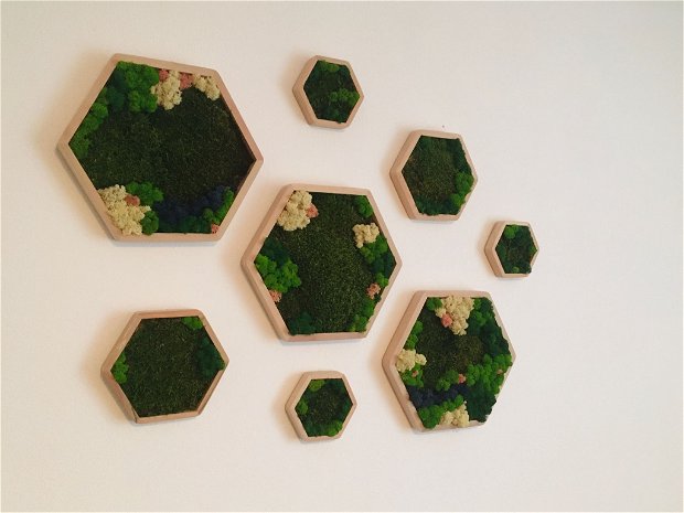 Panouri hexagonale cu licheni