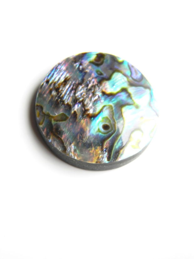 Caboson sidef Paua Shell (C30)