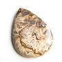Caboson root plume agat (C20)