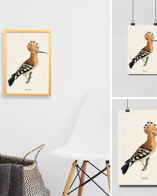 Poster Pupaza, ilustratie vintage