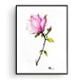 Tablou - Studiu Botanic - Magnolia - Nature And Colors Collection