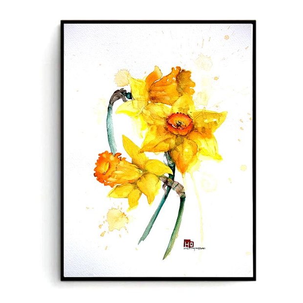 Narcissus - Tablou Studiu Botanic - Nature And Colors Collection