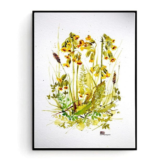 Ciuboţica-cucului (Primula officinalis) - Tablou Studiu Botanic - Nature And Colors Collection