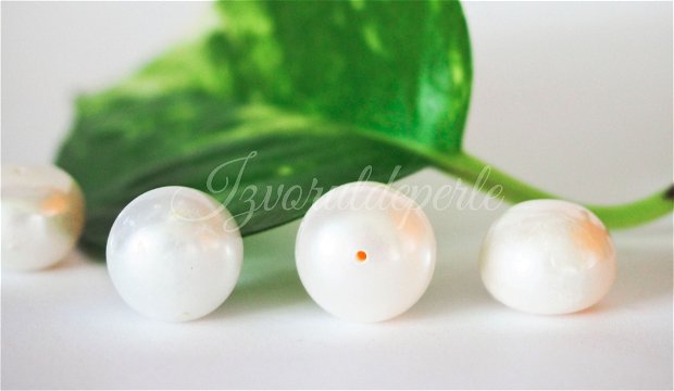 Perle cultura 13-14mm, semigaurite (1)