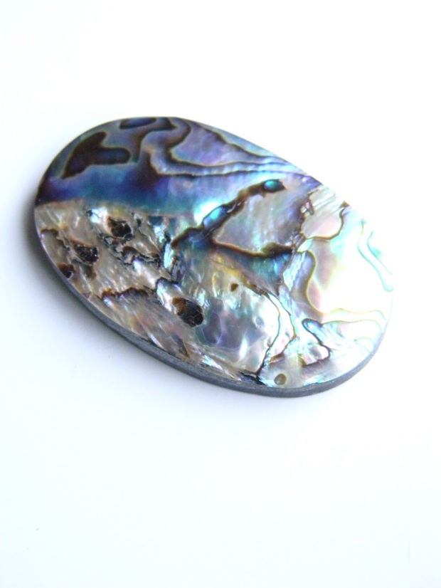 Caboson sidef Paua Shell (C8)