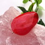 Red agat fatetat (12)
