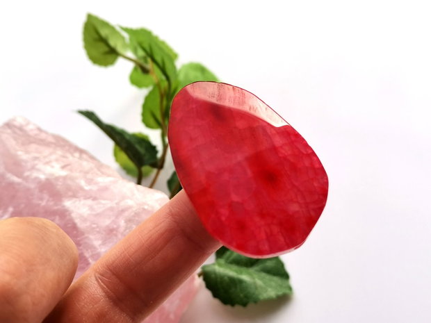 Red agat fatetat (12)