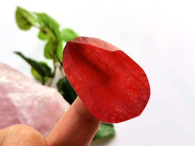 Red agat fatetat (12)