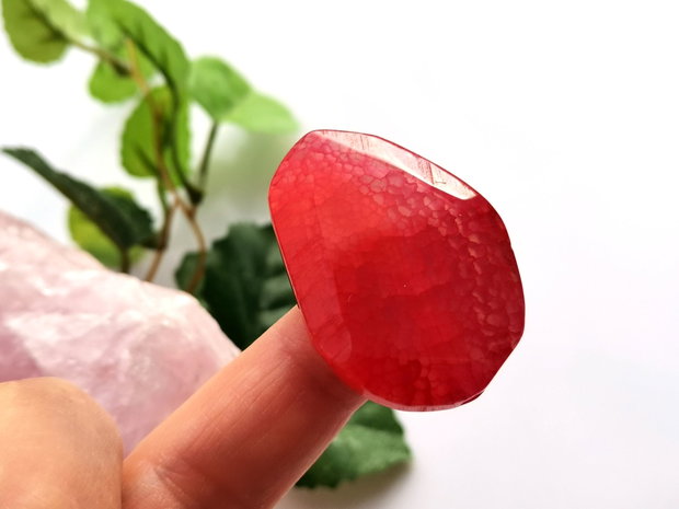 Red agat fatetat (13)