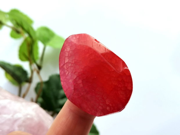 Red agat fatetat (13)