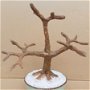 Trunchi bonsai blank