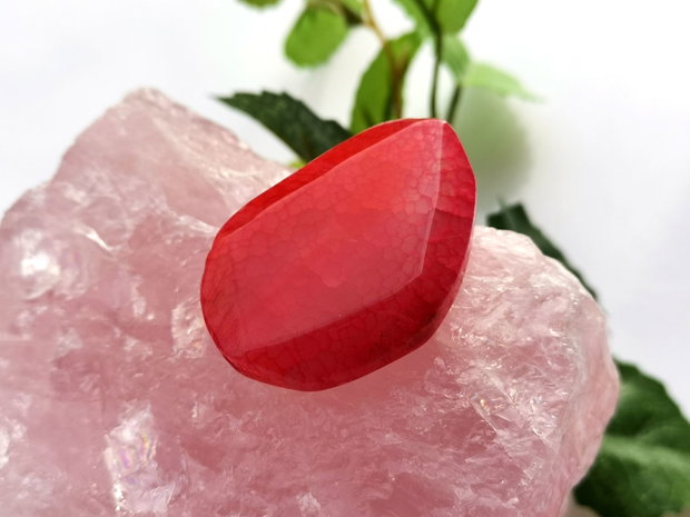 Red agat fatetat (14)