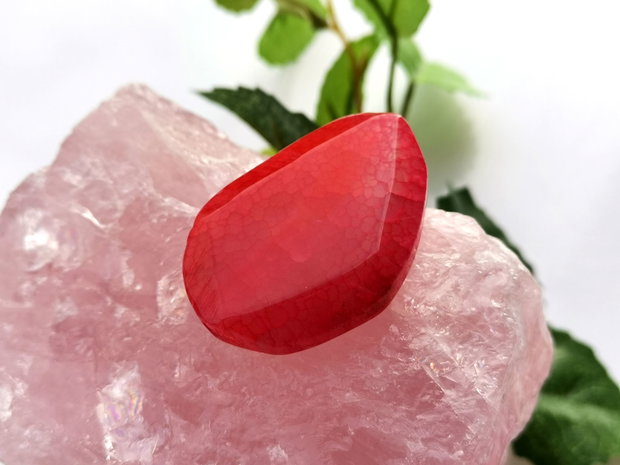 Red agat fatetat (14)