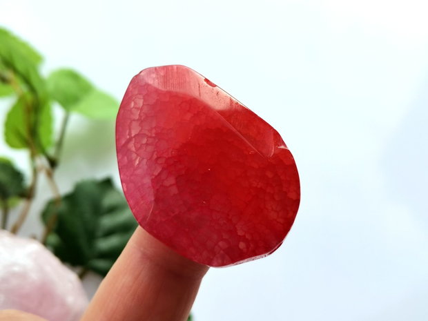 Red agat fatetat (14)